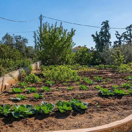 Grace Villa Porto Heli