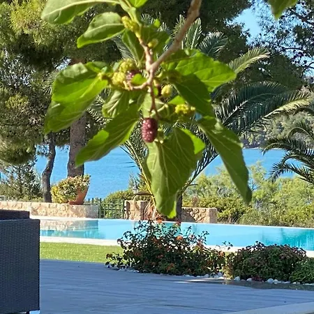 Villa Anthia Villa