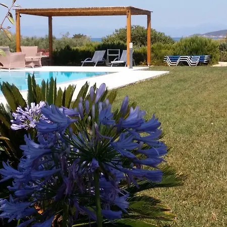 Villa Anthia Villa