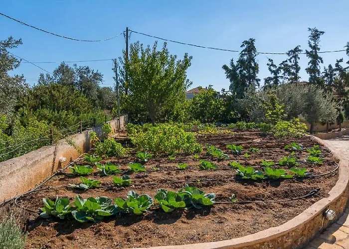 Grace 빌라 포르토헬리